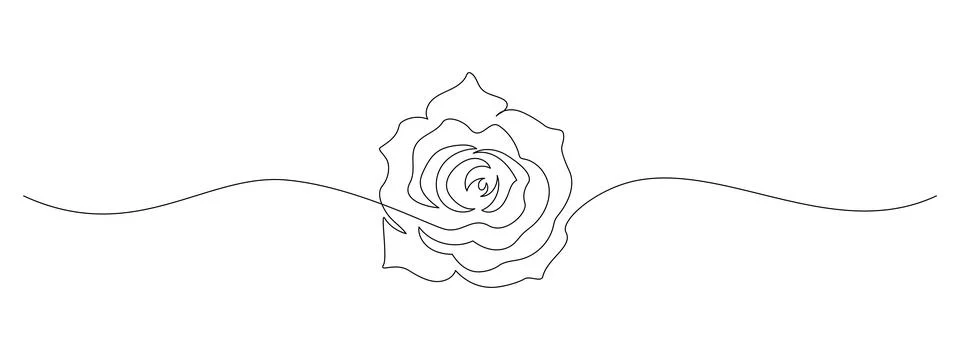 One continuous line drawing of Rose flower. Peony blossom with petals for floral Stock Illustration