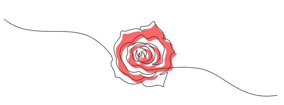 One continuous line drawing of Rose flower. Peony blossom with petals for floral Stock Illustration