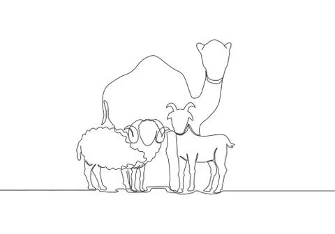 One continuous line drawing of sheep, camel and goat. Muslim holiday Illustrazione stock