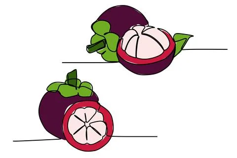 One continuous line drawing of sweet tropical mangosteen fruits. Stock Illustration