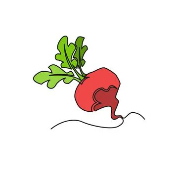 One continuous line drawing vegetables beet, isolated on white background. He Stock Illustration
