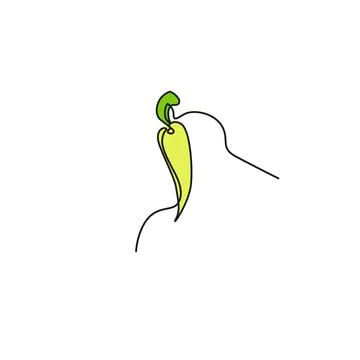 One continuous line drawing vegetables hot peppers, isolated on white backgro Stock Illustration