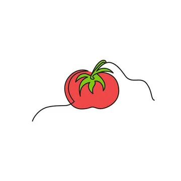 One continuous line drawing vegetables tomato, isolated on white background.  Stock Illustration