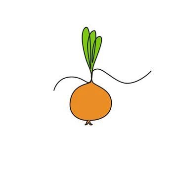 One continuous line drawing vegetables tsibulya, isolated on white background Stock Illustration