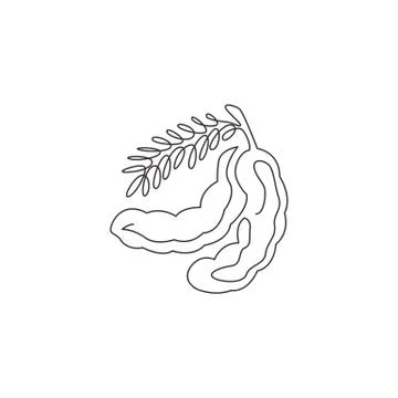 One continuous line drawing of whole healthy organic tamarind for logo Illustrazione stock