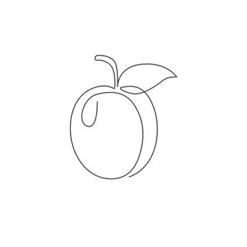 One continuous line drawing of whole healthy organic apricot for orchard logo Illustrazione stock