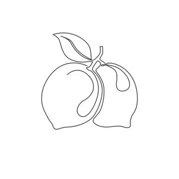 One continuous line drawing of whole healthy organic lemon for orchard logo Stock-Illustration