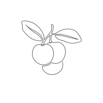 One continuous line drawing of whole healthy organic longan for orchard logo Illustrazione stock