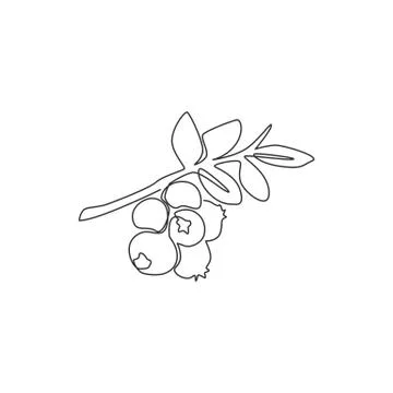 One continuous line drawing of whole healthy organic blueberries for logo Illustrazione stock