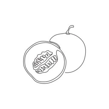 One continuous line drawing of whole and half sliced healthy organic melon Illustrazione stock