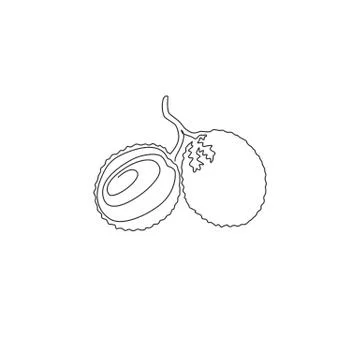 One continuous line drawing of whole group healthy organic lychee for logo Stock Illustration