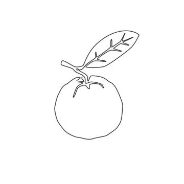 One continuous line drawing whole healthy organic java guava for orchard logo 스톡 일러스트