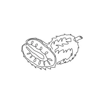 One continuous line drawing whole and sliced healthy organic soursop Illustrazione stock