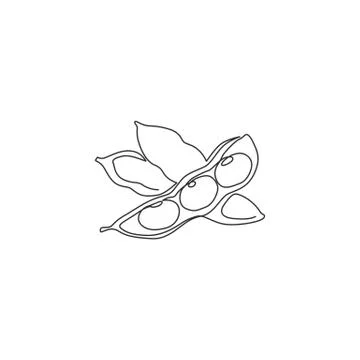 One continuous line drawing of whole healthy organic green edamame for farm Stock Illustration