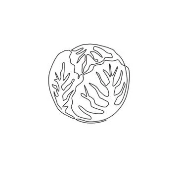 One continuous line drawing of whole healthy organic headed cabbage for farm Ilustración de archivo