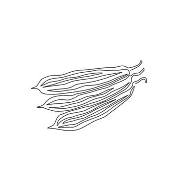 One continuous line drawing of whole healthy organic sponge gourd for farm Stock Illustration
