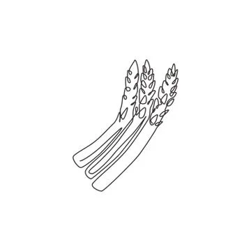 One continuous line drawing of whole healthy organic asparagus for garden Stock Illustration