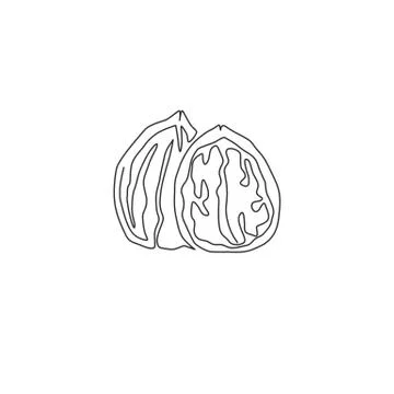 One continuous line drawing of whole healthy organic walnut food Stock-Illustration