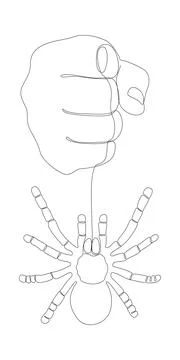 One continuous line of hand holding spider. Thin Line Illustration vector c.. Stock Illustration