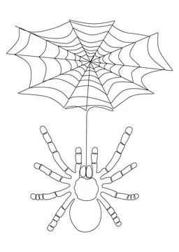 One continuous line of spider and its web. Thin Line Illustration vector conc Stock Illustration