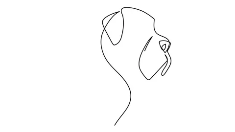 One continuous single drawing line art doodle animal, pet, dog, dog boxer, doggy 스톡 동영상 146714987