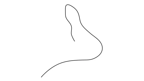 One continuous single drawn art line minimalism doodle character portrait young  스톡 동영상 147971996