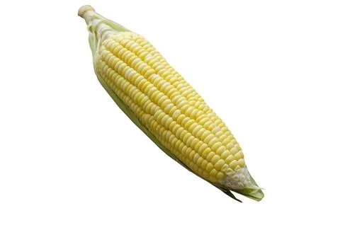 One corn isolated on white background with clipping path, side view Foto stock