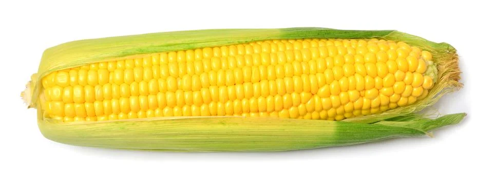 One corn macro isolated on white background Fotos de archivo