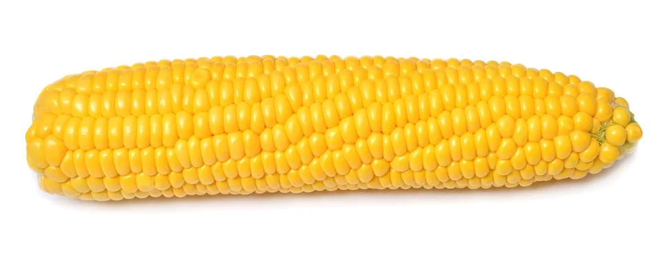 One corn macro isolated on white background Stock Photos
