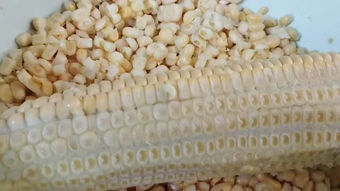 One corn sliced ​​in half only Stock Footage 226732950