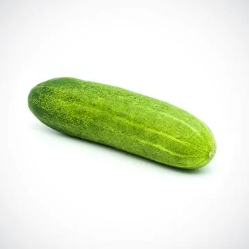 One cucumber on a white background Stock Photos