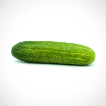 One cucumber on a white background Stock Photos