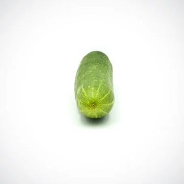 One cucumber on a white background Stock Photos