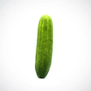 One cucumber on a white background Stock Photos