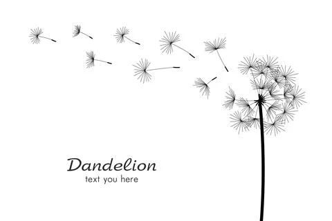 One dandelions blowing in the wind Stock Illustration