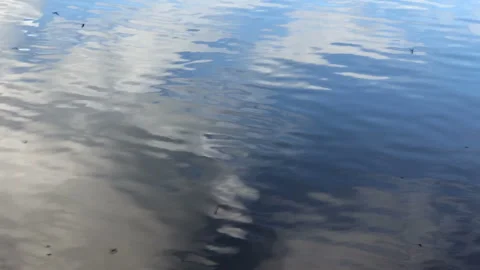 One-day butterflies hover over the river Stock Footage 265102217