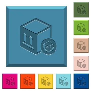 One day package delivery engraved icons on edged square buttons Illustrazione stock