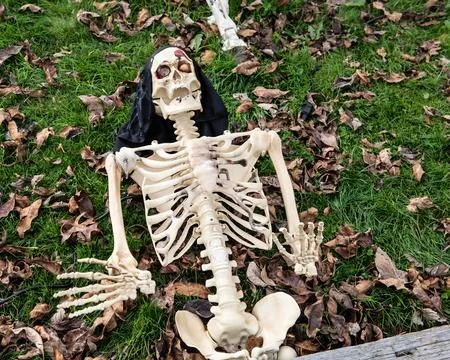 One dead corpse on lawn in Fall for Halloween Stock Photos
