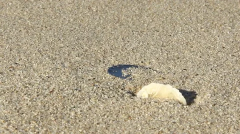 One Dirham coin wash out by wave surf, close up shot, grainy sand on beach Stock Footage