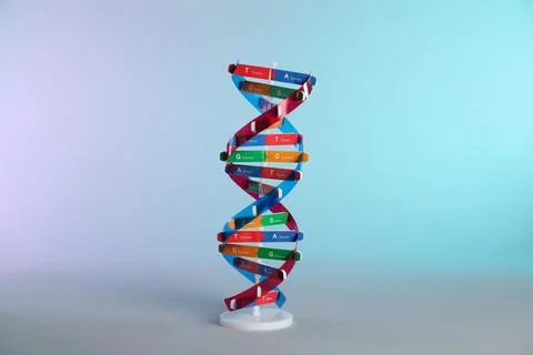 One DNA structure model on color background Stockfoto's