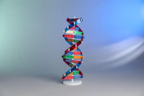 One DNA structure model on color background 写真素材