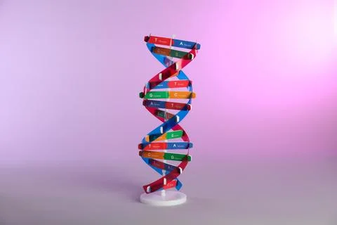 One DNA structure model on color background 写真素材