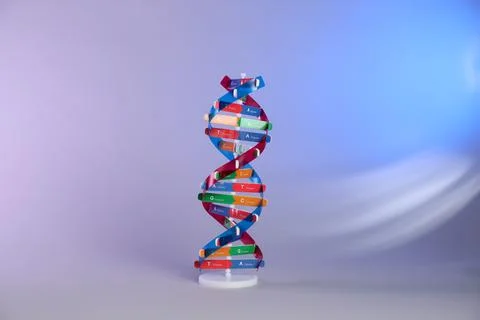 One DNA structure model on color background Stock Photos