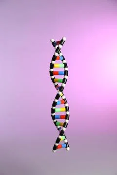 One DNA structure model on color background Stock Photos