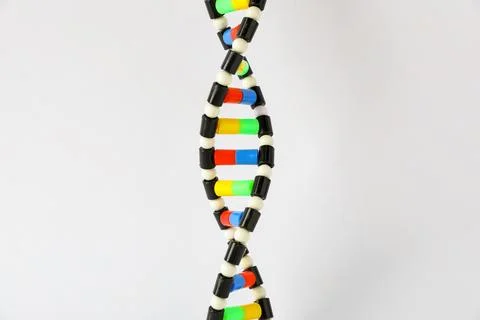 One DNA structure model on white background 写真素材