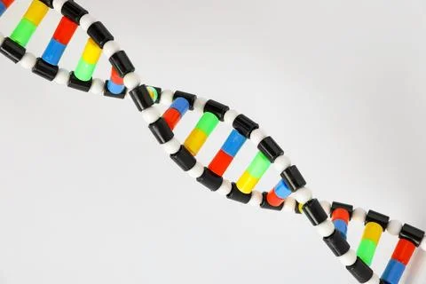 One DNA structure model on white background, above view 스톡 사진