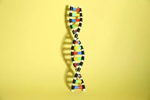 One DNA structure model on yellow background Stock Photos