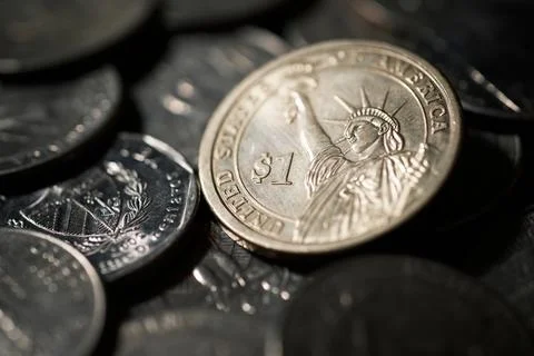 One dollar coin Фото