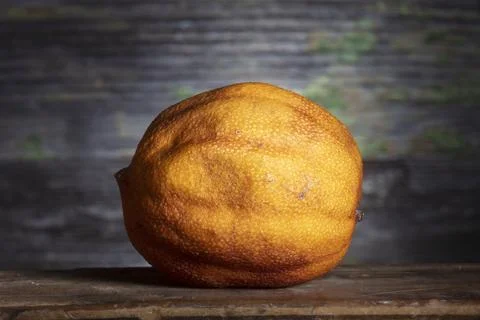 One Dried Lemon in Sharp Light on Wooden Background Foto stock
