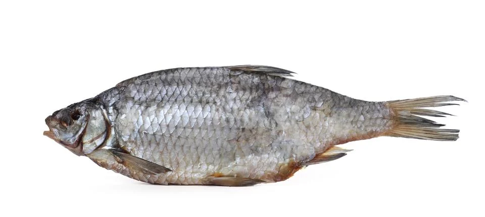 One dried salted roach fish isolated on white Stock Photos